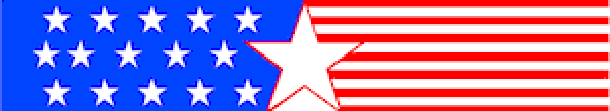 Affordable Government